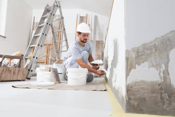 Best Residential Mold Inspection & Testing  in China Spring, TX
